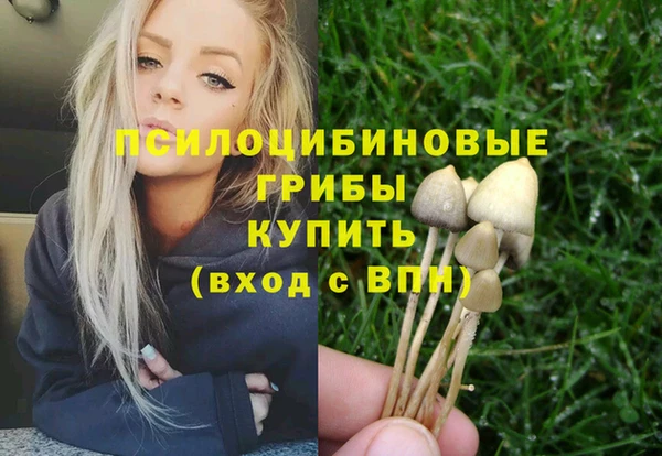 МДПВ Переславль-Залесский