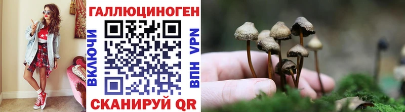 Псилоцибиновые грибы Psilocybe  нарко площадка формула  Кукмор 